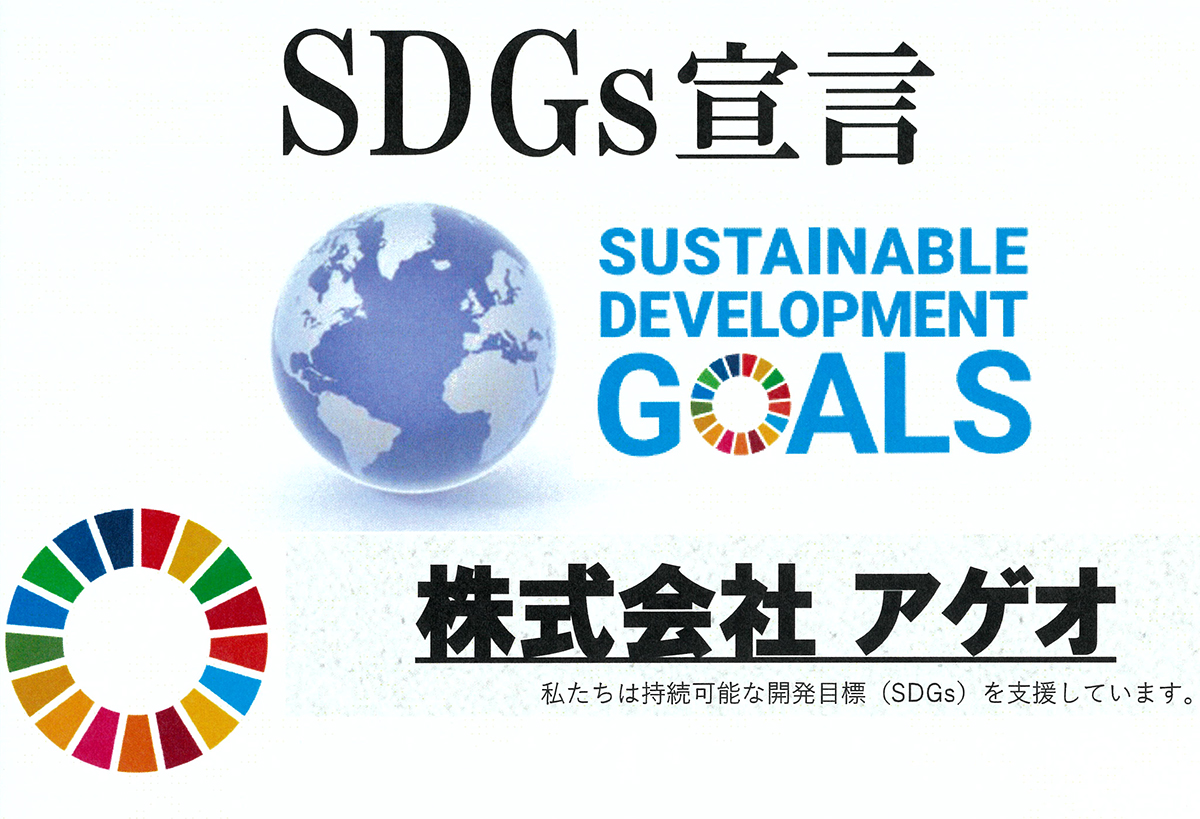 SUSTAINABLE DEVELOPMENT GOALS 